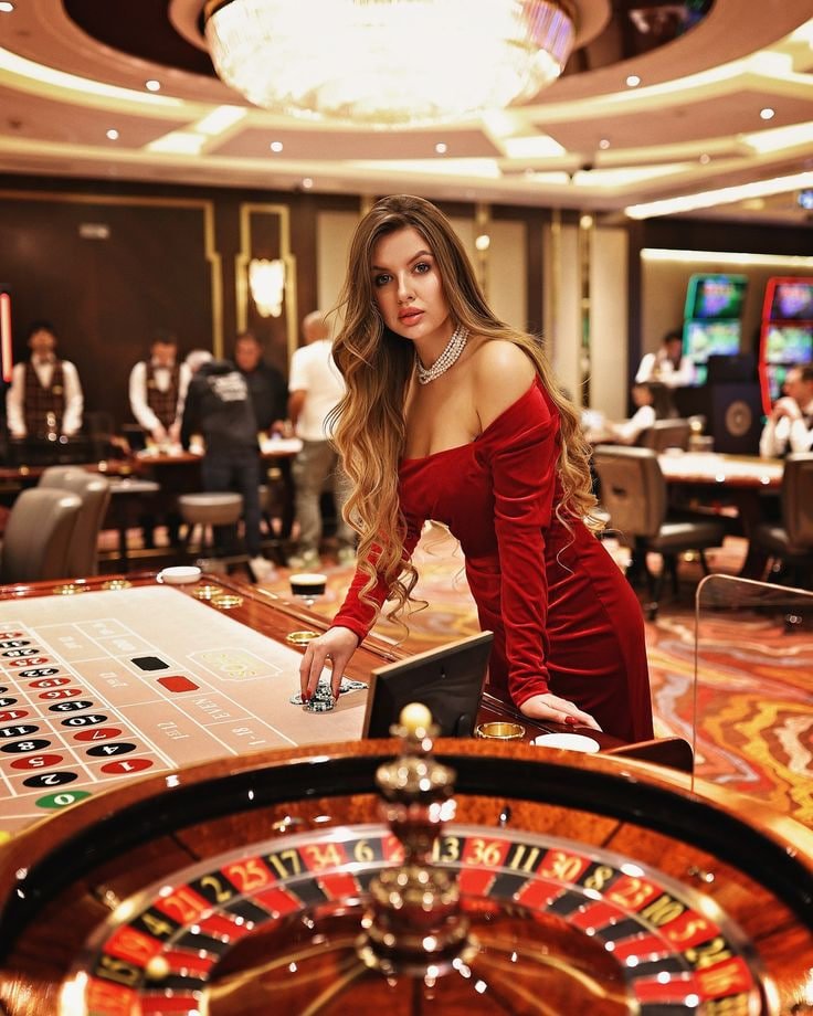 7969rr Live Casino